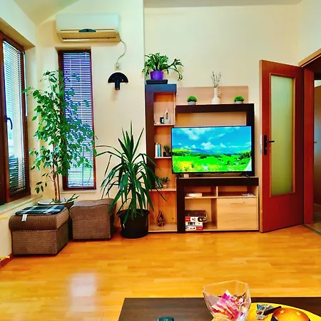 цар самуил Appartement