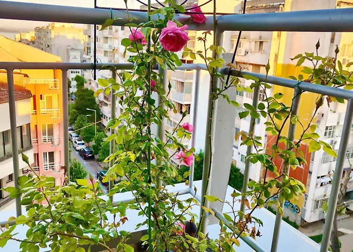 цар самуил Appartement